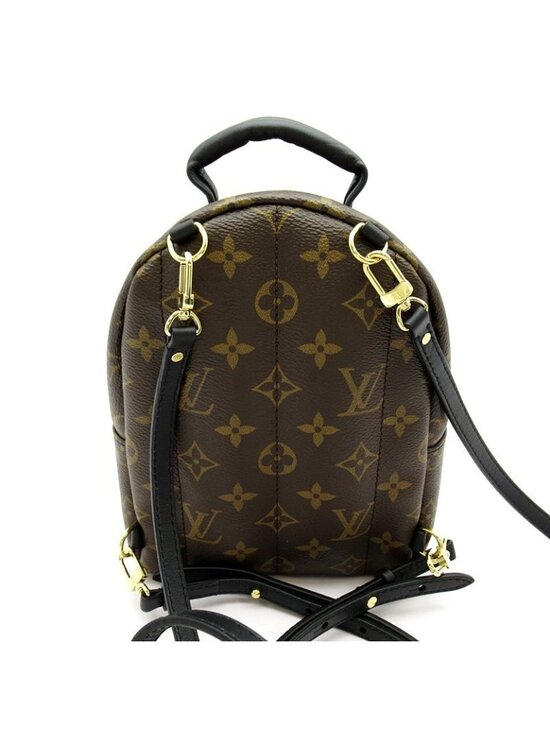 Louis Vuitton Palm Springs Backpack Mini Monogram